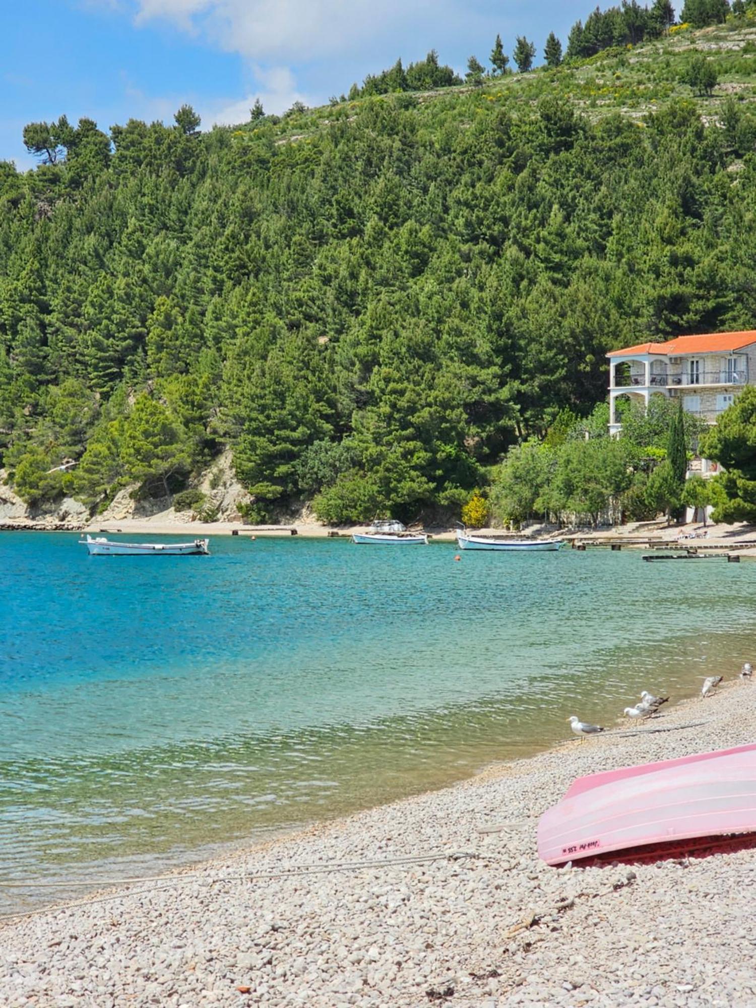 Villa Roing S Stanici 외부 사진
